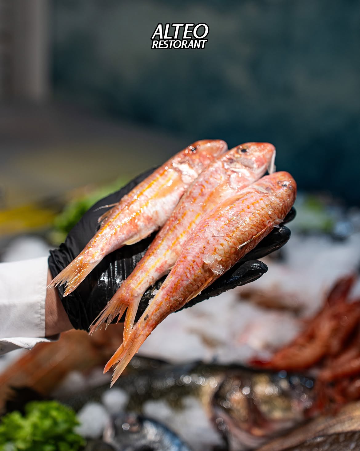 Fresh fish finish