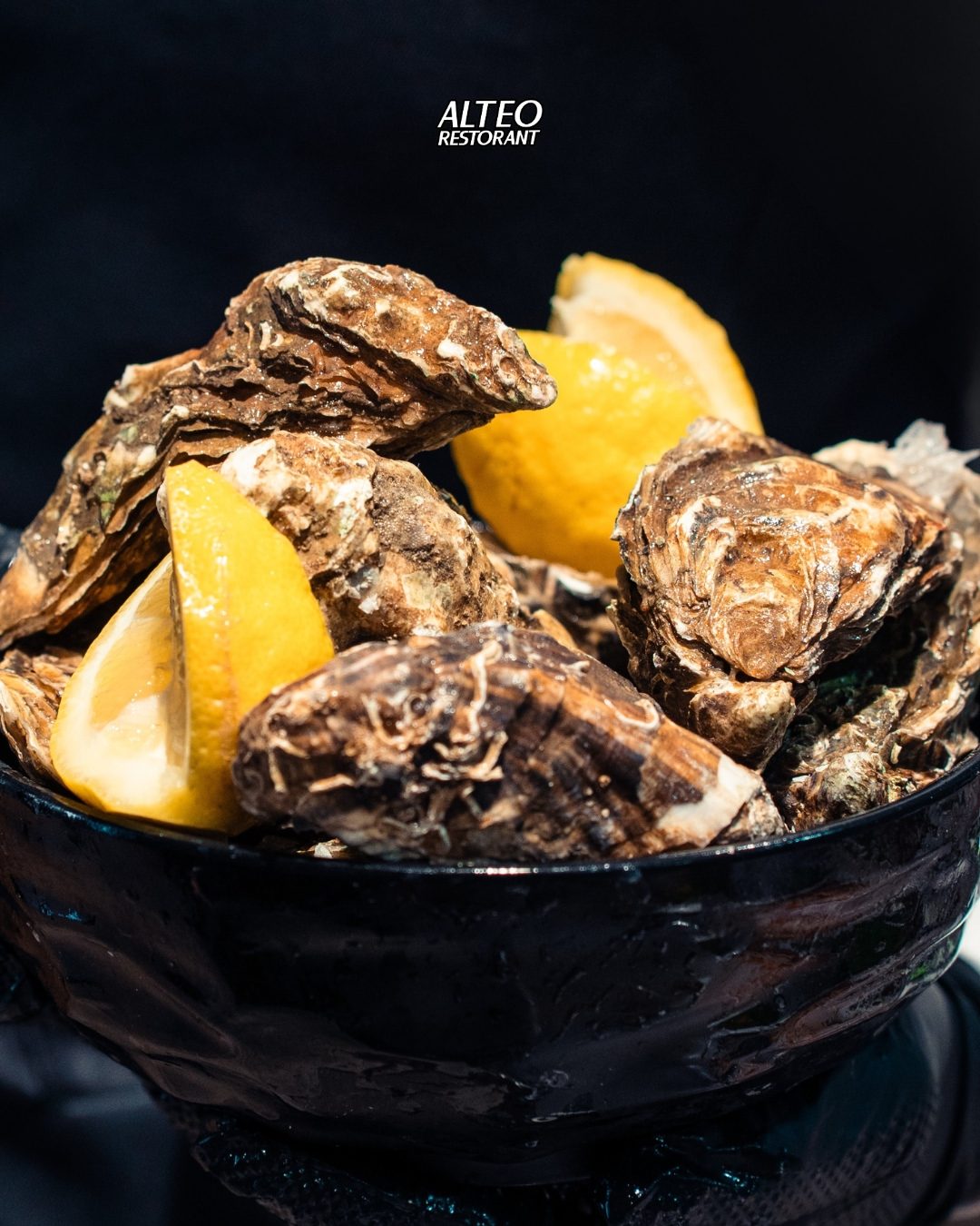 Fresh Oysters